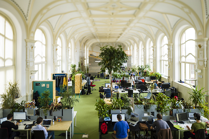A long office with very tall ceilings. It has an open concept and is decorated with many plants.