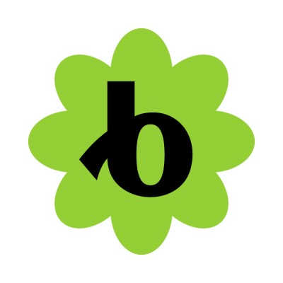 Bloomerang company logo
